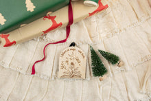 Load image into Gallery viewer, I Believe in Magic and Books, Book Christmas Ornament, Book Lover Gift