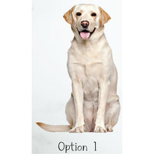 Load image into Gallery viewer, Custom Labrador Ornament, Personalized Dog Ornament - Choose from 4 Graphics