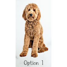 Load image into Gallery viewer, Custom Goldendoodle Ornament, Personalized Doodle Ornament - Choose from 5 Graphic Options