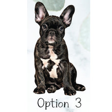 Load image into Gallery viewer, Custom French Bulldog Christmas Ornament - French Bulldog Gifts - Choose from 7 Graphic Options